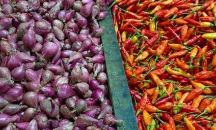 Harga Bawang Dan Cabai Melambung Tinggi Jelang Lebaran