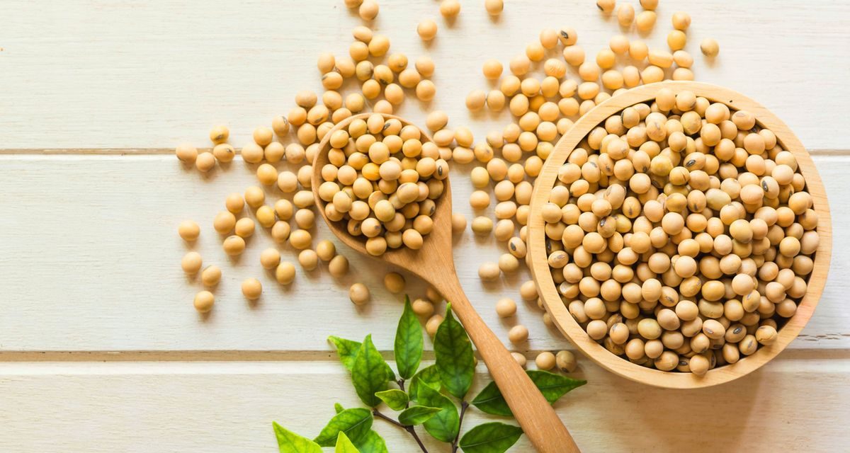 Stabilitas Stok Kedelai: Pastikan Pasokan Tahu Dan Tempe Aman