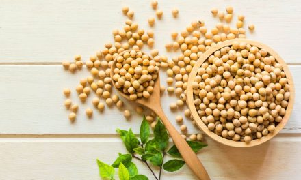 Stabilitas Stok Kedelai: Pastikan Pasokan Tahu Dan Tempe Aman