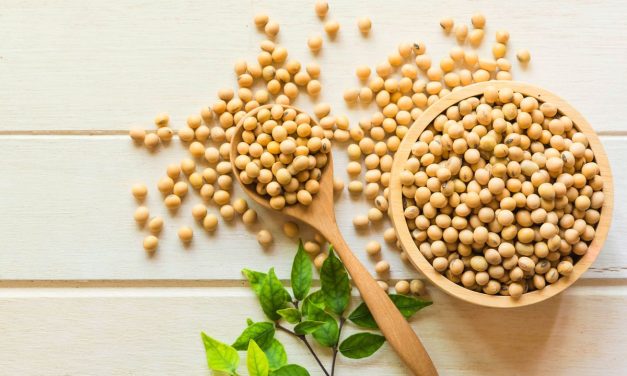 Stabilitas Stok Kedelai: Pastikan Pasokan Tahu Dan Tempe Aman