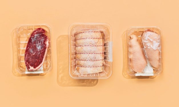 Frozen Food Siap Masak: Untuk Ibu Rumah Tangga Modern