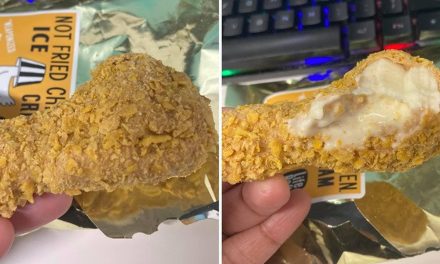 Es Krim Ayam Goreng Di Amerika: Berpadu Manis Legit Dan Gurih