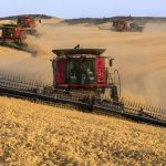 Stok Gandum Di Wilayah Tanduk Afrika Turun Drastis Akibat Cuaca